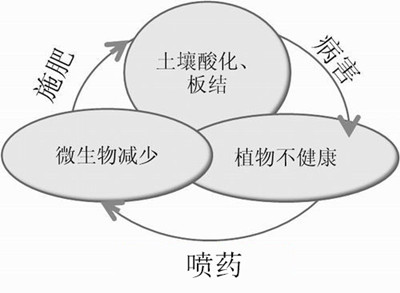 化肥不等于科學(xué)，請(qǐng)客觀評(píng)判！